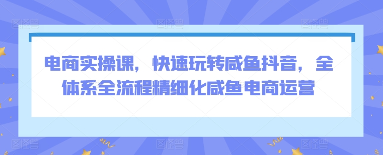 电商实操课，快速玩转咸鱼抖音，全体系全流程精细化咸鱼电商运营-赚金金-技能学习分享