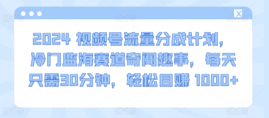 2024视频号流量分成计划，冷门监海赛道奇闻趣事，每天只需30分钟，轻松目赚 1000+【揭秘】-赚金金-技能学习分享