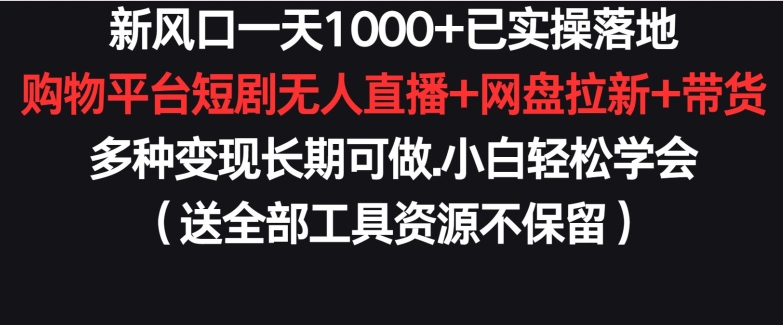新风口一天1000+已实操落地购物平台短剧无人直播+网盘拉新+带货多种变现长期可做【揭秘】-赚金金-技能学习分享
