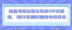 闲鱼电商运营全系统VIP实操课,1部手机随时随地电商卖货-赚金金-技能学习分享
