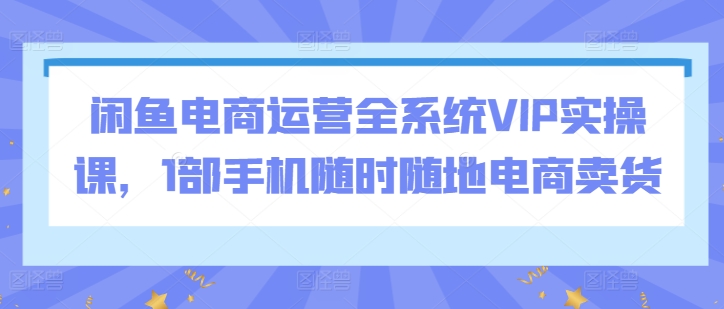 闲鱼电商运营全系统VIP实操课，1部手机随时随地电商卖货-赚金金-技能学习分享