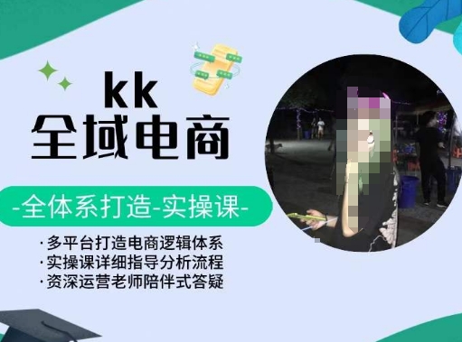 KK全域电商，全体系打造实操课，多平台打造电商逻辑体系-赚金金-技能学习分享