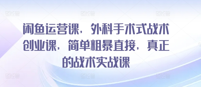 闲鱼运营课，外科手术式战术创业课，简单粗暴直接，真正的战术实战课-赚金金-技能学习分享