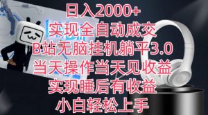 日入2000+，实现全自动成交，B站无脑挂机躺平3.0，当天操作当天见收益，实现睡后有收益【揭秘】-赚金金-技能学习分享