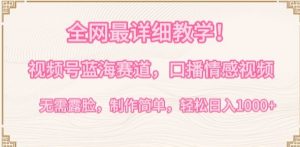 全网最详细教学,视频号蓝海赛道,口播情感视频,无需露脸,制作简单,轻松实现日入1000+【揭秘】-赚金金-技能学习分享