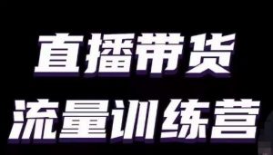 直播带货流量训练营,小白主播必学直播课-赚金金-技能学习分享