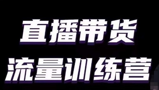 直播带货流量训练营，小白主播必学直播课-赚金金-技能学习分享