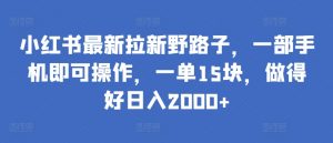 小红书最新拉新野路子，一部手机即可操作，一单15块，做得好日入2000+【揭秘】-赚金金-技能学习分享