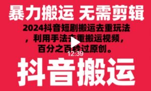 2024最新抖音搬运技术,抖音短剧视频去重,手法搬运,利用工具去重,达到秒过原创的效果【揭秘】-赚金金-技能学习分享