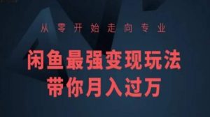 从零开始走向专业,闲鱼最强变现玩法带你月入过万-赚金金-技能学习分享