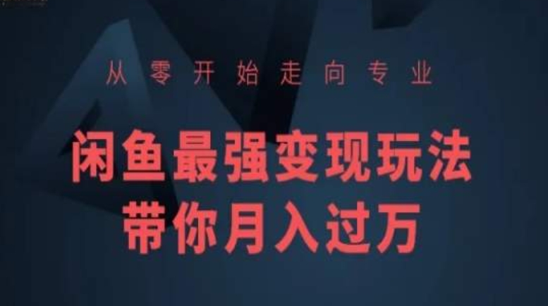 从零开始走向专业,闲鱼最强变现玩法带你月入过万-赚金金-技能学习分享