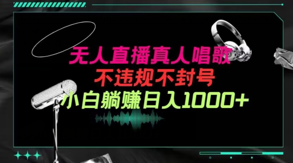 抖音24小时无人直播音乐，不违规，不封号纯撸音浪，小白实操当天日入1000+【揭秘】-赚金金-技能学习分享