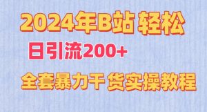 2024年B站轻松日引流200+的全套暴力干货实操教程【揭秘】-赚金金-技能学习分享