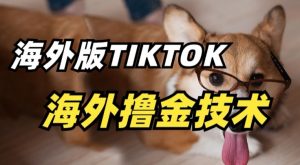 抖音海外版tiktok撸金技术,这个风口行业,赚钱真的不难【揭秘】-赚金金-技能学习分享
