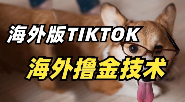 抖音海外版tiktok撸金技术，这个风口行业，赚钱真的不难【揭秘】-赚金金-技能学习分享