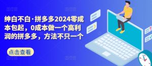 拼多多2024零成本包起,0成本做一个高利润的拼多多,方法不只一个-赚金金-技能学习分享