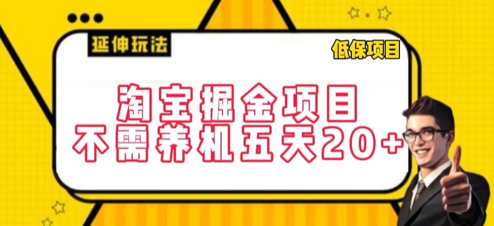 淘宝掘金项目，不需养机，五天20+，每天只需要花三四个小时【揭秘】-赚金金-技能学习分享