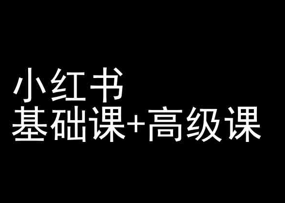 小红书基础课+高级课-小红书运营教程-赚金金-技能学习分享