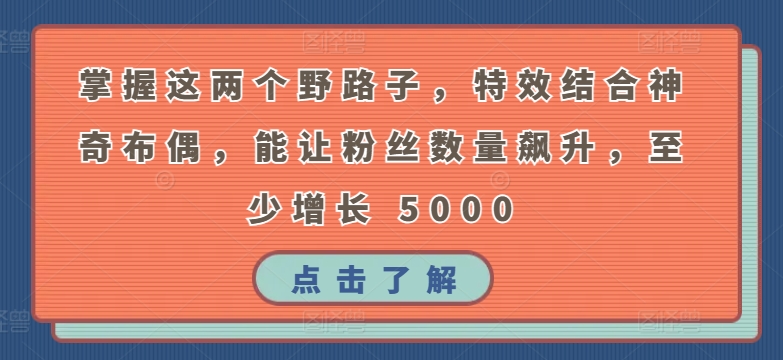 掌握这两个野路子，特效结合神奇布偶，能让粉丝数量飙升，至少增长 5000【揭秘】-赚金金-技能学习分享