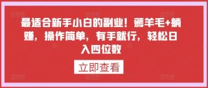 最适合新手小白的副业!薅羊毛+躺赚,操作简单,有手就行,轻松日入四位数【揭秘】-赚金金-技能学习分享