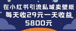 在小红书引流私域卖壁纸每张29元单日最高卖出200张(0-1搭建教程)【揭秘】-赚金金-技能学习分享