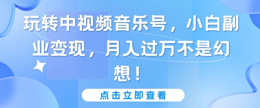 玩转中视频音乐号，小白副业变现，月入过万不是幻想【揭秘】-赚金金-技能学习分享
