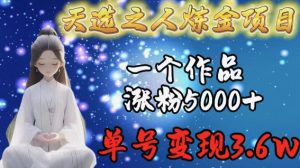 天选之人炼金项目，一个作品涨粉5000+，单号变现3.6w【揭秘】-赚金金-技能学习分享