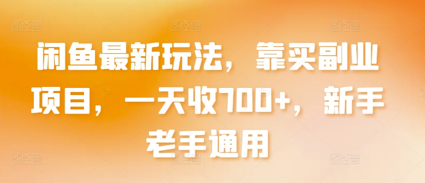 闲鱼最新玩法，靠买副业项目，一天收700+，新手老手通用【揭秘】-赚金金-技能学习分享