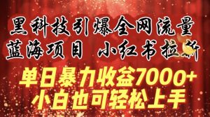 蓝海项目!黑科技引爆全网流量小红书拉新,单日暴力收益7000+,小白也能轻松上手【揭秘】-赚金金-技能学习分享