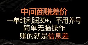 中间商赚差价,一单纯利润30+,简单无脑操作,赚的就是信息差,轻轻松松日入1000+【揭秘】-赚金金-技能学习分享