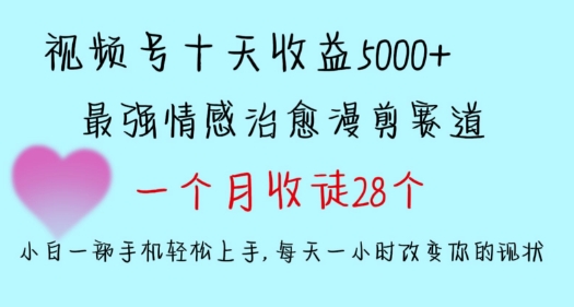 十天收益5000+，多平台捞金，视频号情感治愈漫剪，一个月收徒28个，小白一部手机轻松上手【揭秘】-赚金金-技能学习分享
