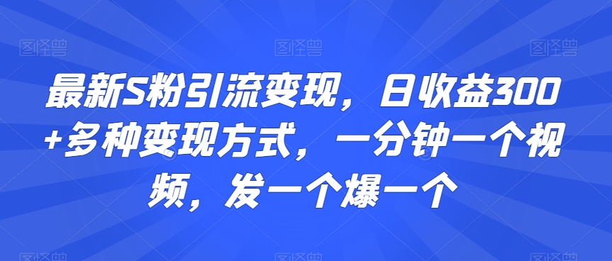 最新S粉引流变现，日收益300+多种变现方式，一分钟一个视频，发一个爆一个【揭秘】-赚金金-技能学习分享