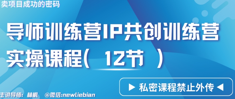 导师训练营3.0IP共创训练营私密实操课程（12节）-卖项目的密码成功秘诀【揭秘】-赚金金-技能学习分享
