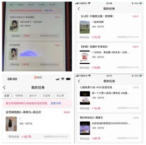 2024年3月最新,快手磁力聚星全流程实操教学,8台手机日均收益稳定100~200元【揭秘】-赚金金-技能学习分享