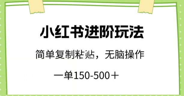小红书进阶玩法，一单150-500+，简单复制粘贴，小白也能轻松上手【揭秘】-赚金金-技能学习分享