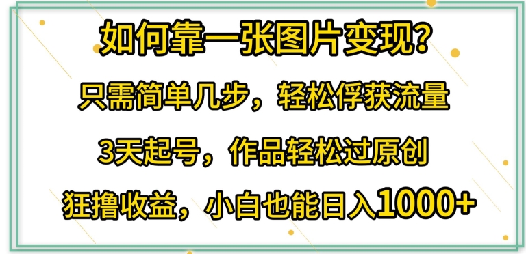 如何靠一张图片变现?只需简单几步，轻松俘获流量，3天起号，作品轻松过原创【揭秘】-赚金金-技能学习分享
