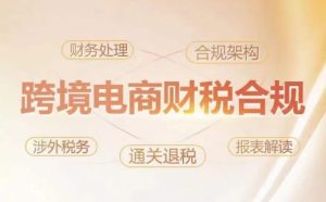 跨境老板财税合规特训营，规避财税风险、提升企业利润-赚金金-技能学习分享