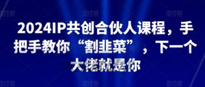 2024IP共创合伙人课程,手把手教你“割韭菜”,下一个大佬就是你-赚金金-技能学习分享