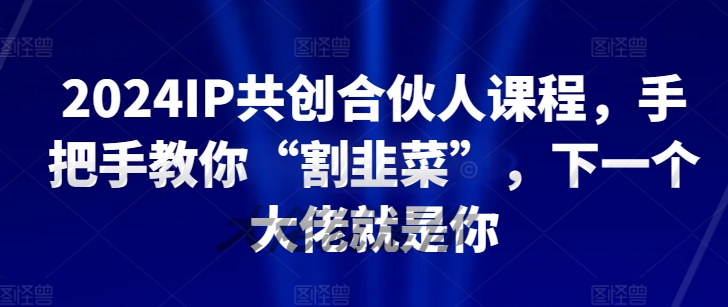 2024IP共创合伙人课程，手把手教你“割韭菜”，下一个大佬就是你-赚金金-技能学习分享