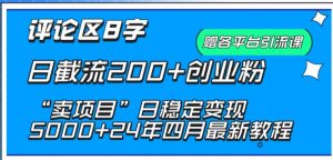 抖音评论区8字日截流200+创业粉 “卖项目”日稳定变现5000+【揭秘】-赚金金-技能学习分享