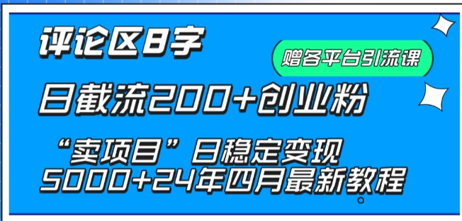抖音评论区8字日截流200+创业粉 “卖项目”日稳定变现5000+【揭秘】-赚金金-技能学习分享