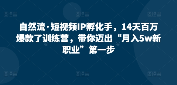 自然流·短视频IP孵化手，14天百万爆款了训练营，带你迈出“月入5w新职业”第一步-赚金金-技能学习分享