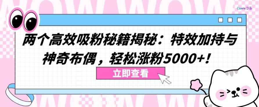 两个高效吸粉秘籍揭秘：特效加持与神奇布偶，轻松涨粉5000+【揭秘】-赚金金-技能学习分享