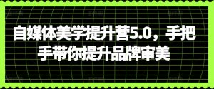 自媒体美学提升营5.0,手把手带你提升品牌审美-赚金金-技能学习分享