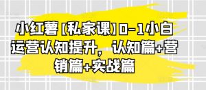 小红薯【私家课】0-1小白运营认知提升,认知篇+营销篇+实战篇-赚金金-技能学习分享