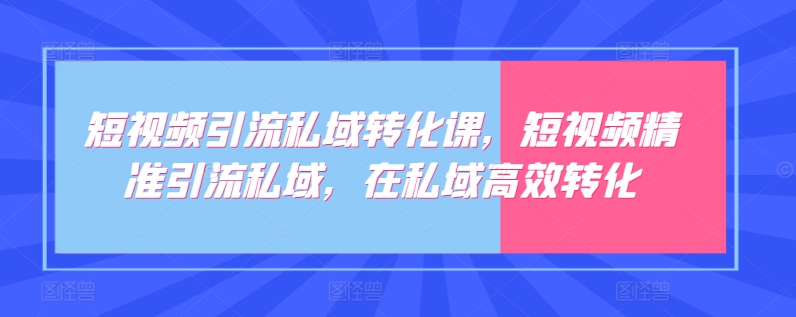 短视频引流私域转化课，短视频精准引流私域，在私域高效转化-赚金金-技能学习分享