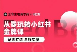 王导主·小红书电商运营实操课,从零打造  全程实操-赚金金-技能学习分享