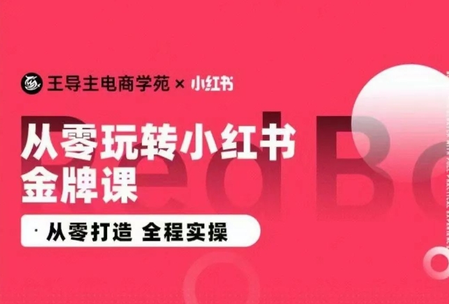 王导主·小红书电商运营实操课，​从零打造  全程实操-赚金金-技能学习分享