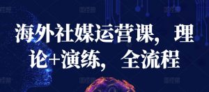 海外社媒运营课，理论+演练，全流程-赚金金-技能学习分享