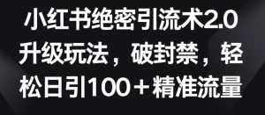 小红书绝密引流术2.0升级玩法,破封禁,轻松日引100+精准流量【揭秘】-赚金金-技能学习分享